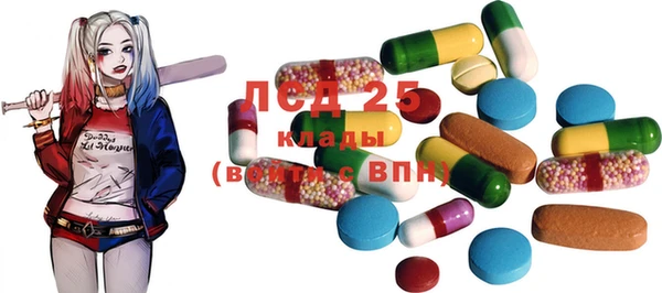 PSILOCYBIN Горно-Алтайск