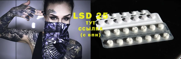 PSILOCYBIN Горно-Алтайск