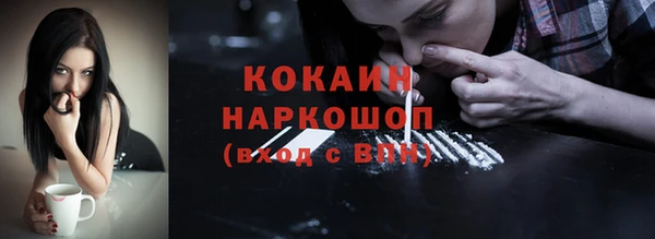 PSILOCYBIN Горно-Алтайск