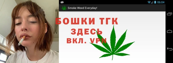 меф Горняк