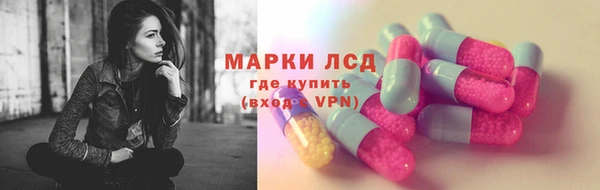 PSILOCYBIN Горно-Алтайск