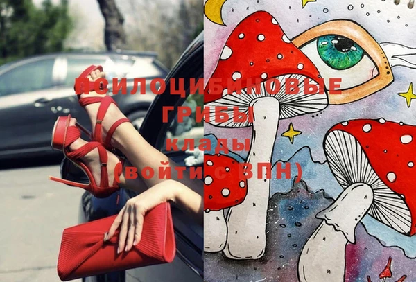 меф Горняк