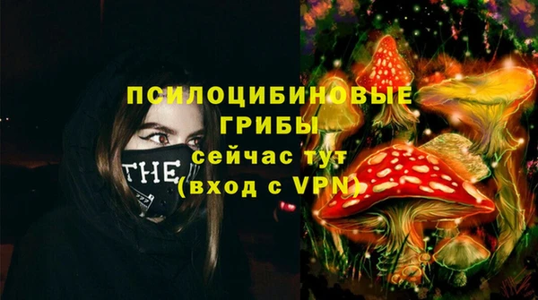 меф Горняк