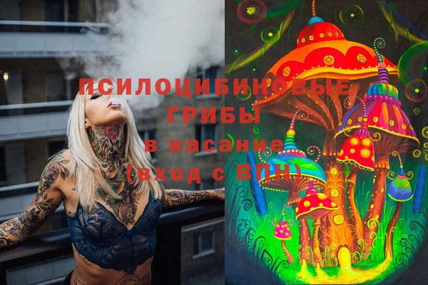 синтетический гашиш Горнозаводск