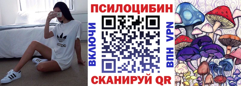 Галлюциногенные грибы Cubensis  Чухлома 